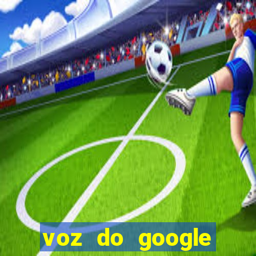 voz do google tradutor homem